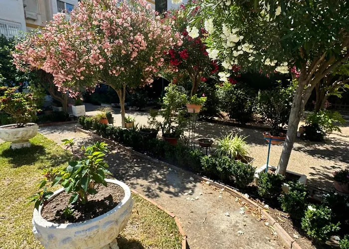 Hdfm Centro * Torremolinos